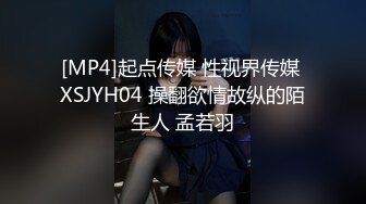 [MP4]起点传媒 性视界传媒 XSJYH04 操翻欲情故纵的陌生人 孟若羽