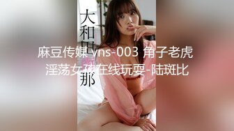 麻豆传媒 vns-003 角子老虎 淫荡女孩在线玩耍-陆斑比