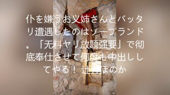 仆を嫌うお义姉さんとバッタリ遭遇したのはソープランド。「无料ヤリ放题强要」で彻底奉仕させて何度も中出ししてやる！ 辻井ほのか