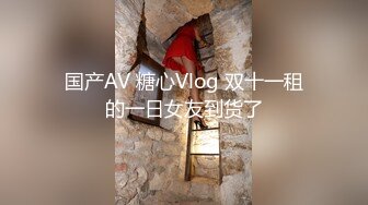 国产AV 糖心Vlog 双十一租的一日女友到货了