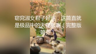 窈窕淑女君子好逑，这简直就是极品中的天花板啊（完整版简芥）