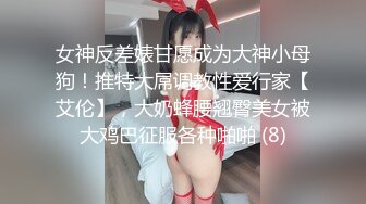 女神反差婊甘愿成为大神小母狗！推特大屌调教性爱行家【艾伦】，大奶蜂腰翘臀美女被大鸡巴征服各种啪啪 (8)