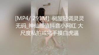 [MP4/ 293M]  树屋轻调灵灵无码_神仙颜值抖音小网红 大尺度私拍咸猪手摸白虎逼