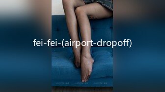 fei-fei-(airport-dropoff)