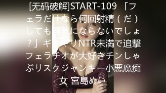 [无码破解]START-109 「フェラだけなら何回射精（だ）しても浮気にならないでしょ？」ギリギリNTR未満で追撃フェラチオが大好きチンしゃぶリスクジャンキー小悪魔痴女 宮島めい