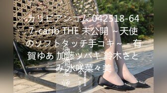 カリビアンコム 042518-647-carib THE 未公開 ～天使のソフトタッチ手コキ～ - 有賀ゆあ 加藤ツバキ 鈴木さとみ 水咲菜々美