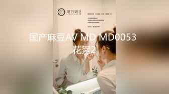 国产麻豆AV MD MD0053 花絮2