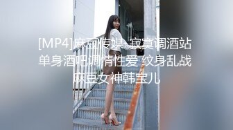 [MP4]麻豆传媒-寂寞调酒站 单身酒吧调情性爱 纹身乱战 麻豆女神韩宝儿