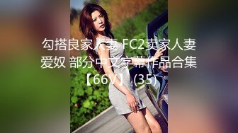 勾搭良家人妻 FC2卖家人妻爱奴 部分中文字幕作品合集【66V】 (35)