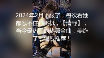 2024年2月，服了，每次看她都忍不住打飞机，【清野】，当今最热门的热舞金曲，美炸了，强烈推荐！