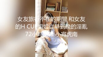 女友旅行不在的期間 和女友的H CUP姐姐從早到晚的淫亂72小時記錄 小宵虎南