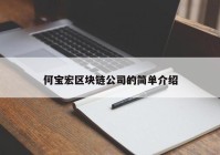 何宝宏区块链公司的简单介绍